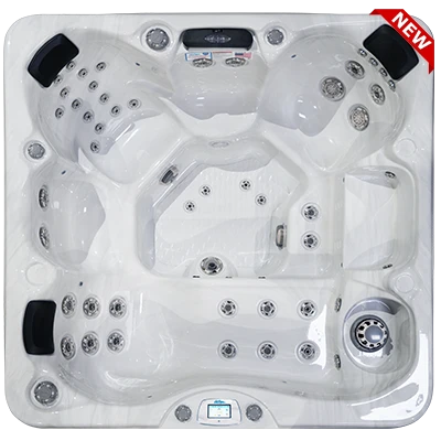Avalon-X EC-849LX hot tubs for sale in Commerce City